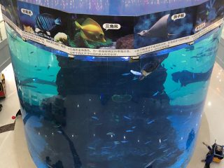 from 20mm to 500mm thick acrylic panels for modern large fish