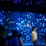 2018 acrylic jellyfish aquarium tank glass