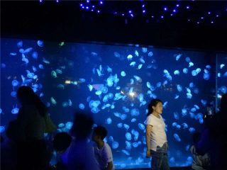 2018 acrylic jellyfish aquarium tank glass