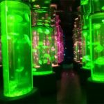 2018 acrylic jellyfish tank supplier