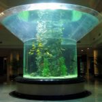 pmma glass aquarium half cylinder perspex clear fish tank