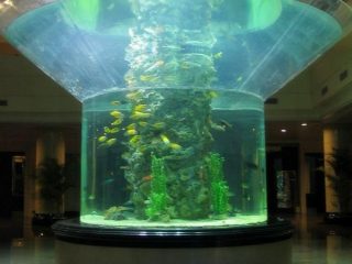 pmma glass aquarium half cylinder perspex clear fish tank