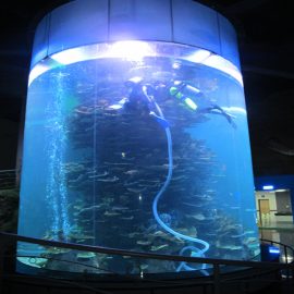 clear acrylic cylinder big fish tank for aquariums or ocean park