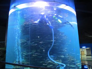 clear acrylic cylinder big fish tank for aquariums or ocean park