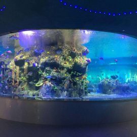 factory supply fish bowls, round glass tank aquariums