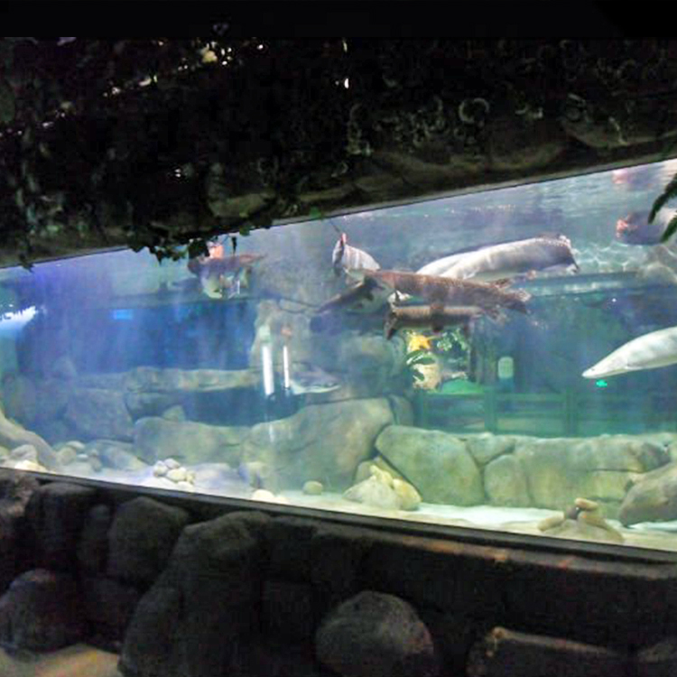 88 Aquarium Design Glass Thickness Terbaru