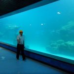 Cast wall UV acrylic panel for aquarium,oceanarium