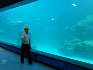 Cast wall UV acrylic panel for aquarium,oceanarium