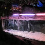 Acrylic pool panel / window for Underwater Sea World