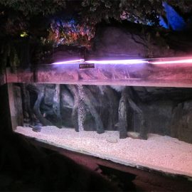 Acrylic pool panel / window for Underwater Sea World