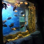 2018 Top Quality Acrylic Panel for aquarium window