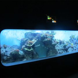 Artificial Cast Acrylic Cylindrical Transparent fish aquarium / view window