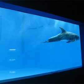 high quality Large acrylic aquarium / pool window underwater thick windows sheet