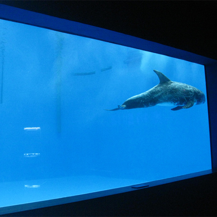 high quality Large acrylic aquarium / pool window underwater thick windows sheet