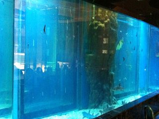 Thick acrylic window pool panel types plexi glass windows