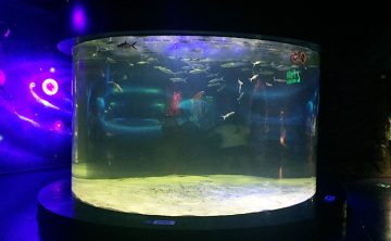 Acrylic fish tank