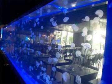 Acrylic sheet Jellyfish tank