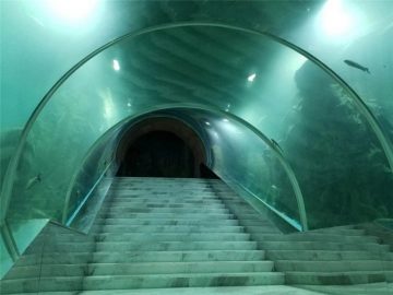 Acrylic tunnel aquarium project price