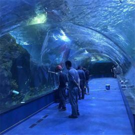 Acrylic tunnel oceanarium project in public aquariums