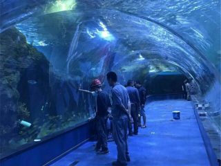 Acrylic tunnel oceanarium project in public aquariums
