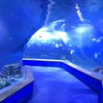 Clear pmma acrylic Large plastics tunnel of aquarium