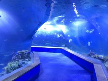 Clear pmma acrylic Large plastics tunnel of aquarium