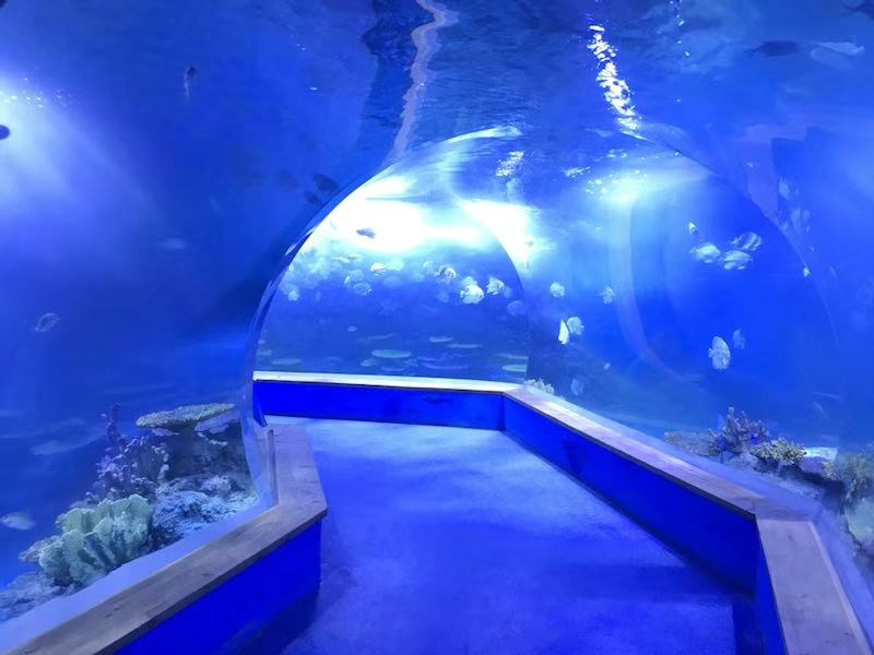 Clear pmma acrylic Large plastics tunnel of aquarium