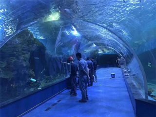Custom plexiglass acrylic tunnel aquarium