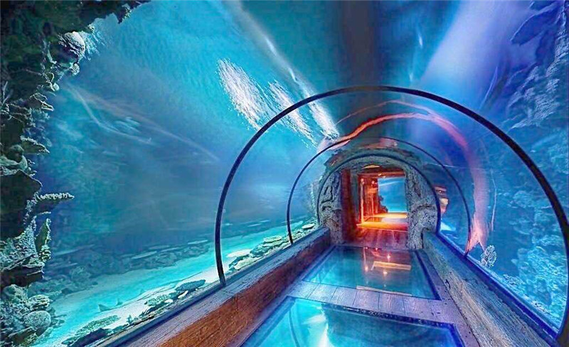 Modern design acrylic aquarium long tunnel