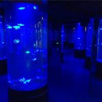 acrylic jellyfish aquarium tank glass