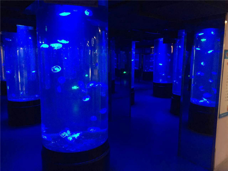 acrylic jellyfish aquarium tank glass