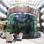 large plastic fish animal aquarium tanks